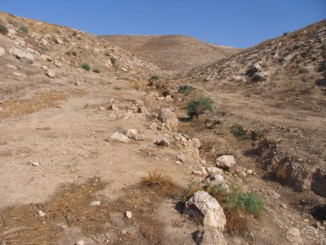 Ancient Desert Agriculture Systems