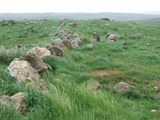 Ancient Agricultural Terrace