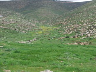 Steep Valley of Ancient Agriculture System